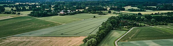 Ein Weitblick aufs der Vogelperspektive über viele landwirtschaftliche Flächen