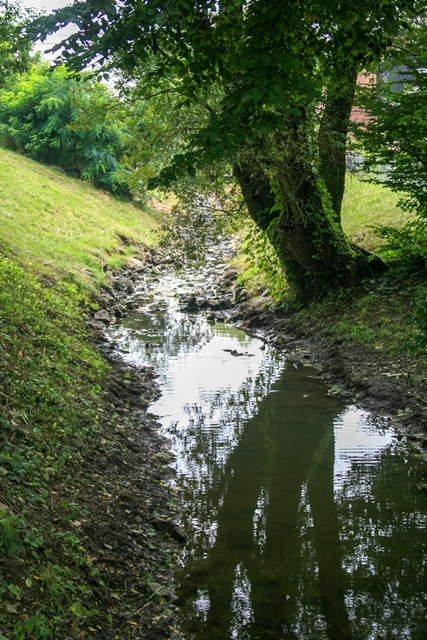 Bach mit Baum